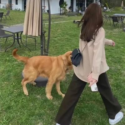 方圆八百米